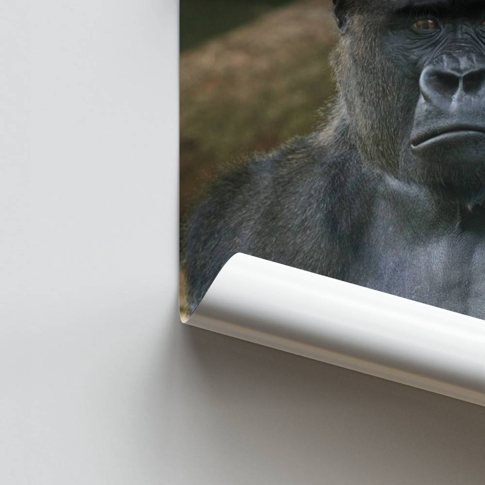 Poster Majestueuze kracht