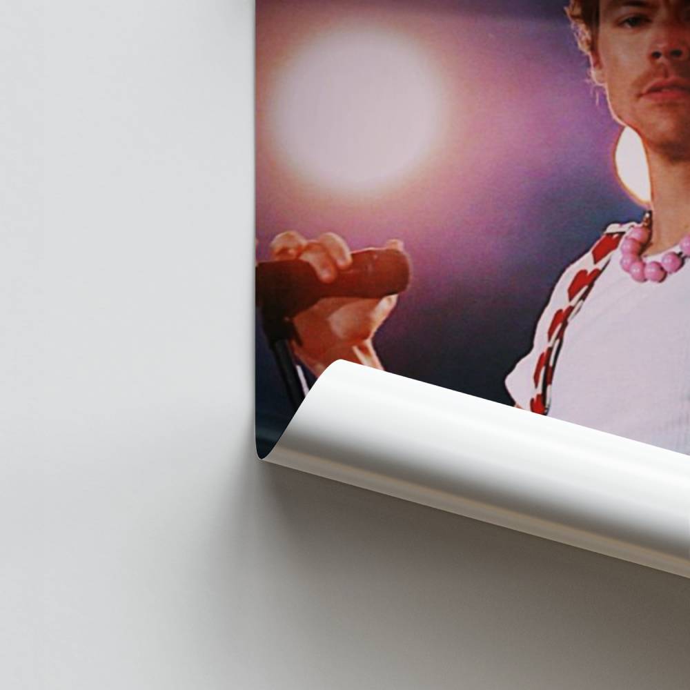 Harry Styles hartenposter