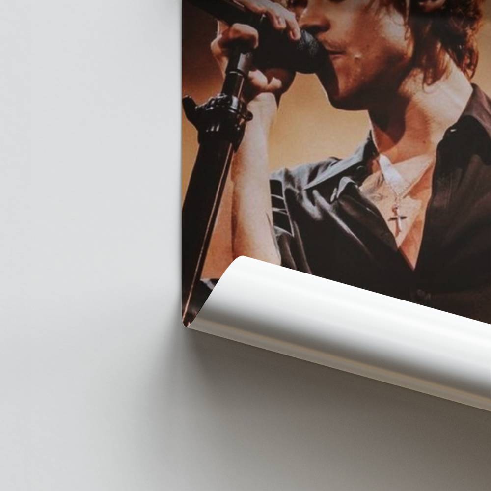 Affiche Harry Styles-concert
