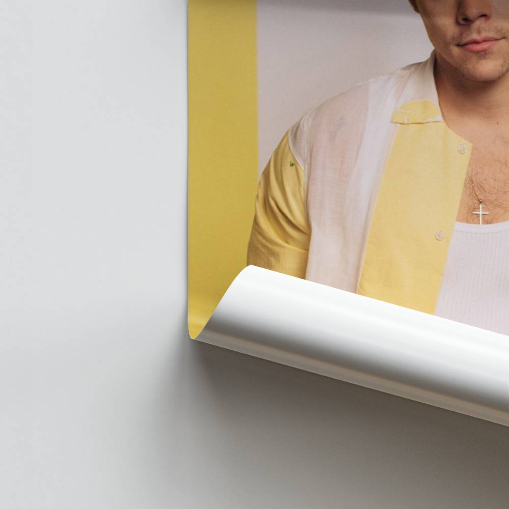 Harry Styles modeposter