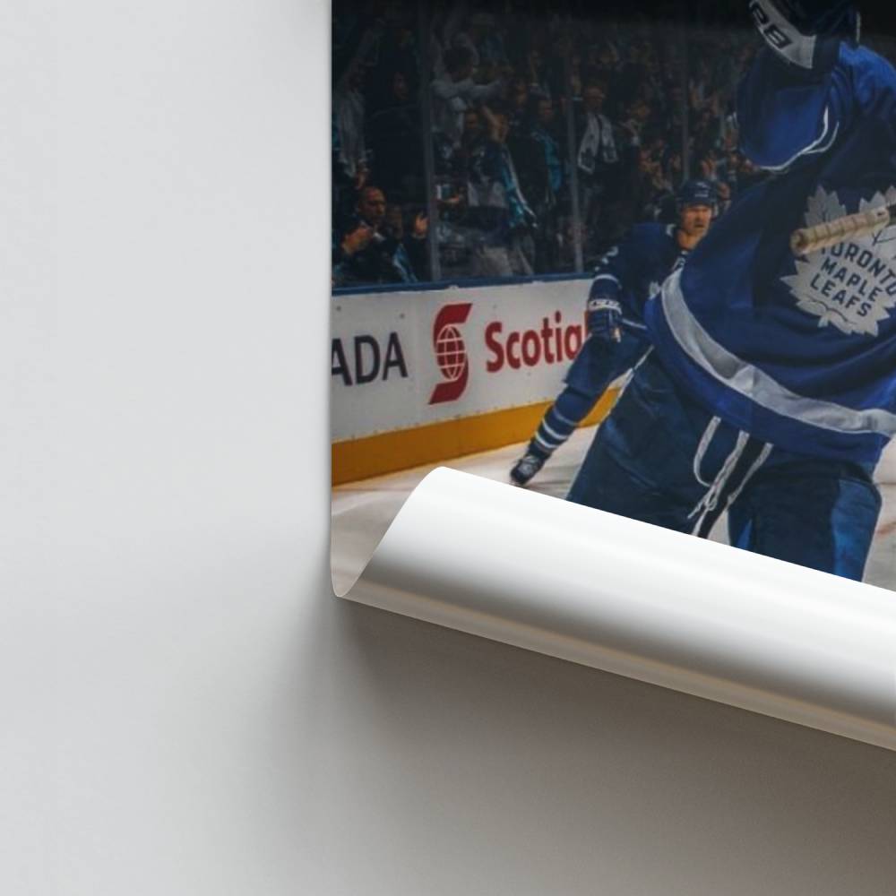 Poster Glaciale prestatie