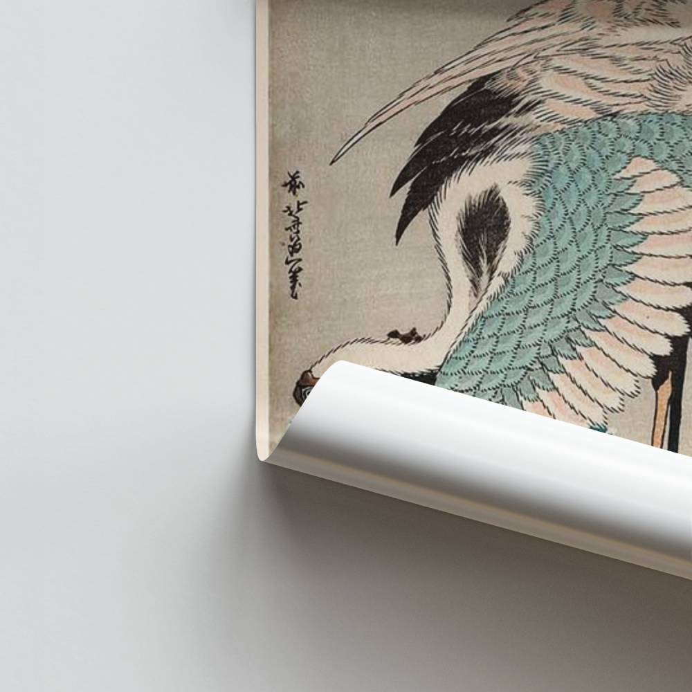 Poster Grues Élodie