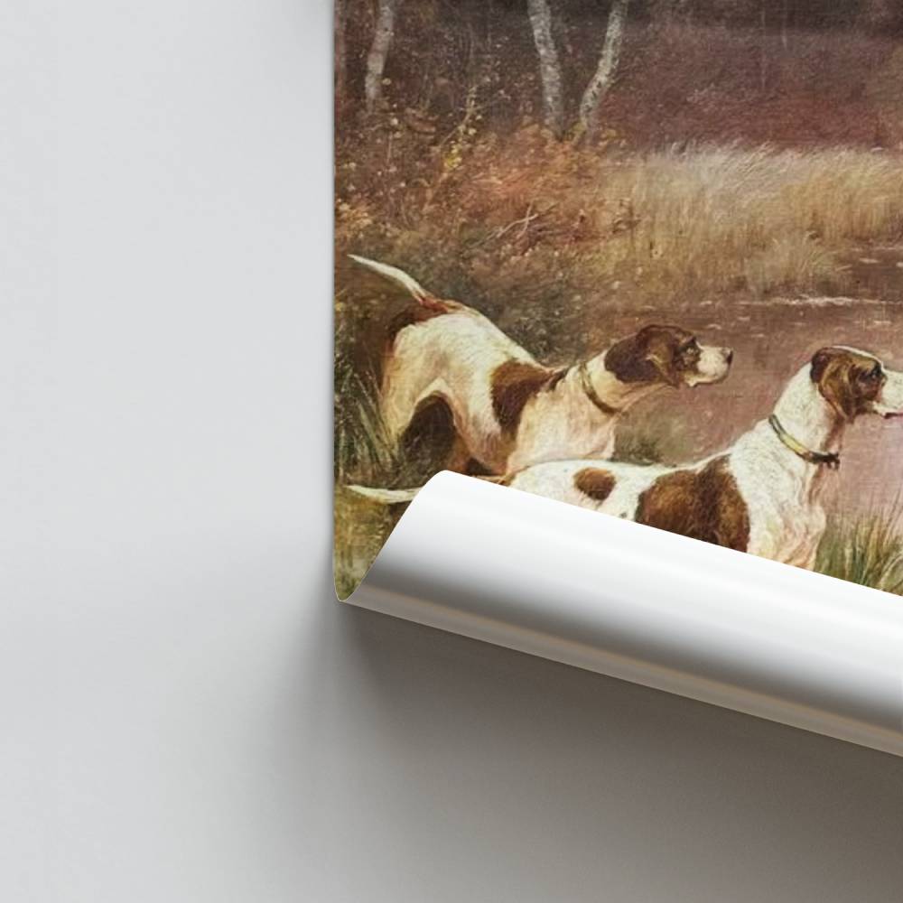 Poster Honden aan de waterkant