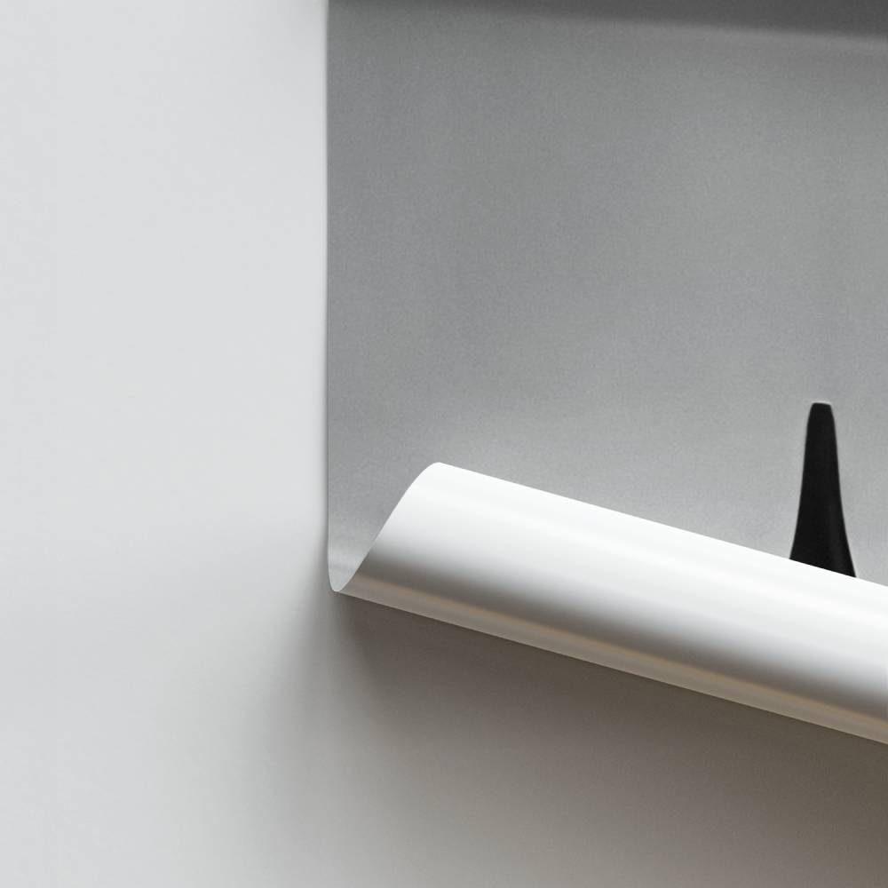 Poster Mijmering Spinnen