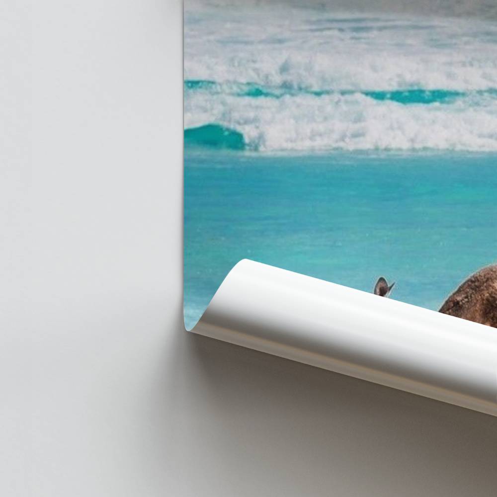 Poster Zuidelijke ontsnapping