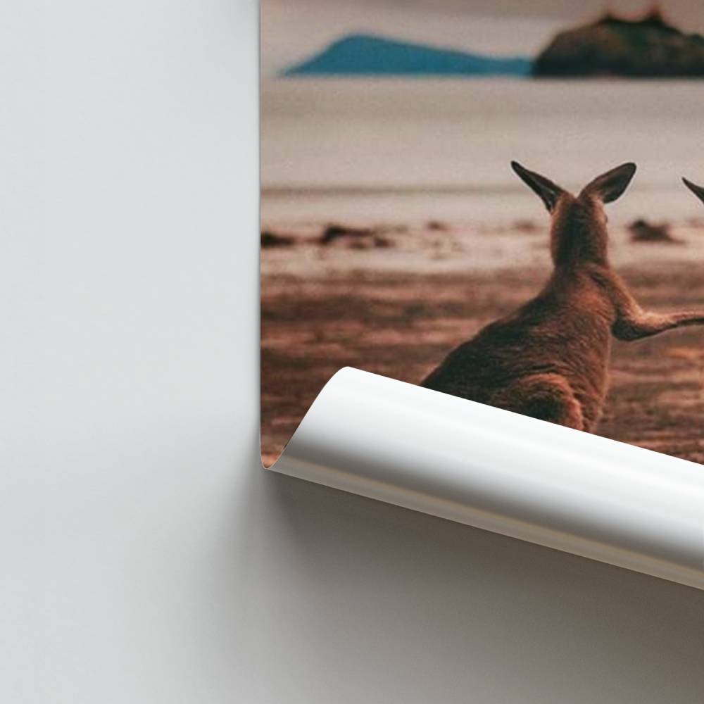 Verwantschap kust poster