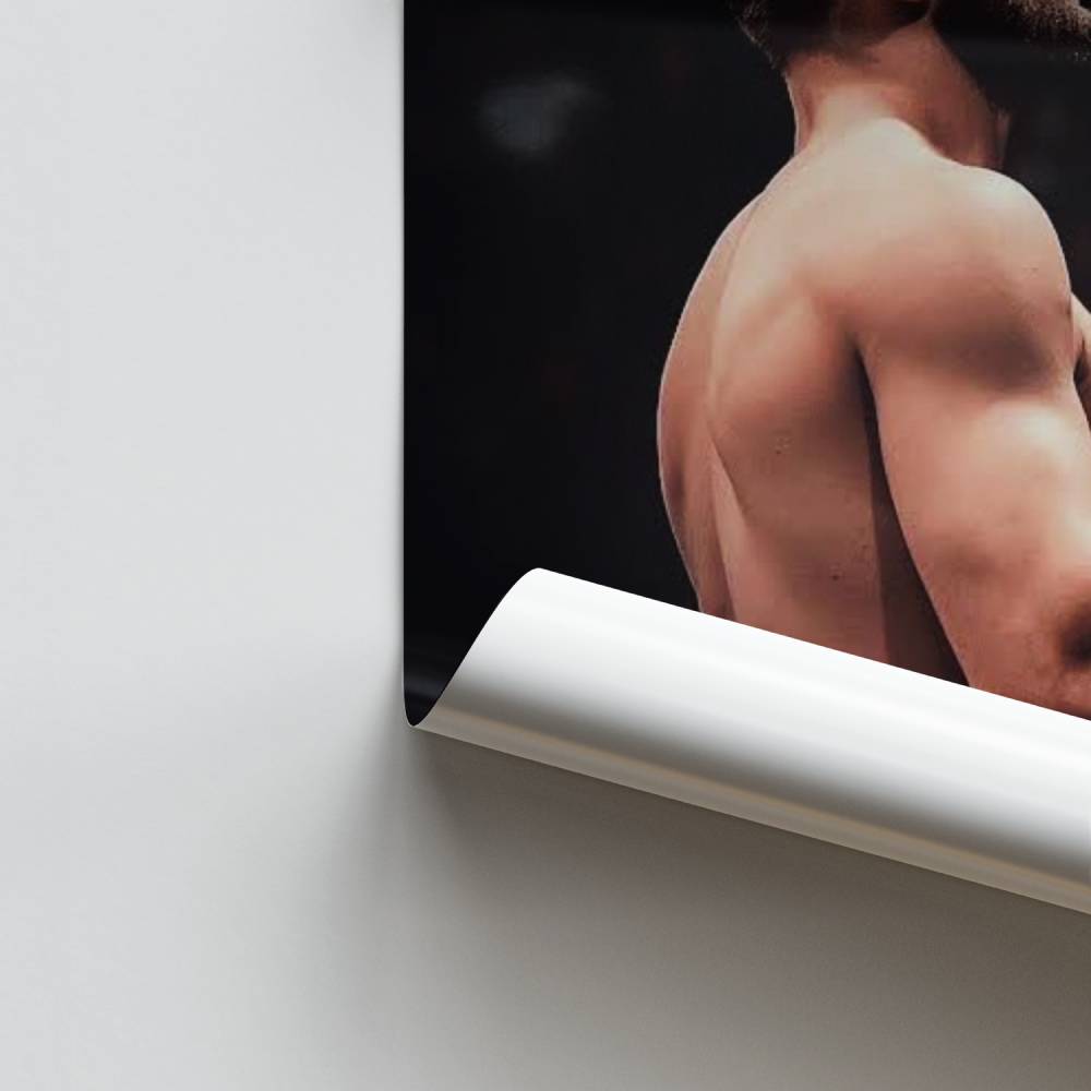 Poster Strijder van de Ring