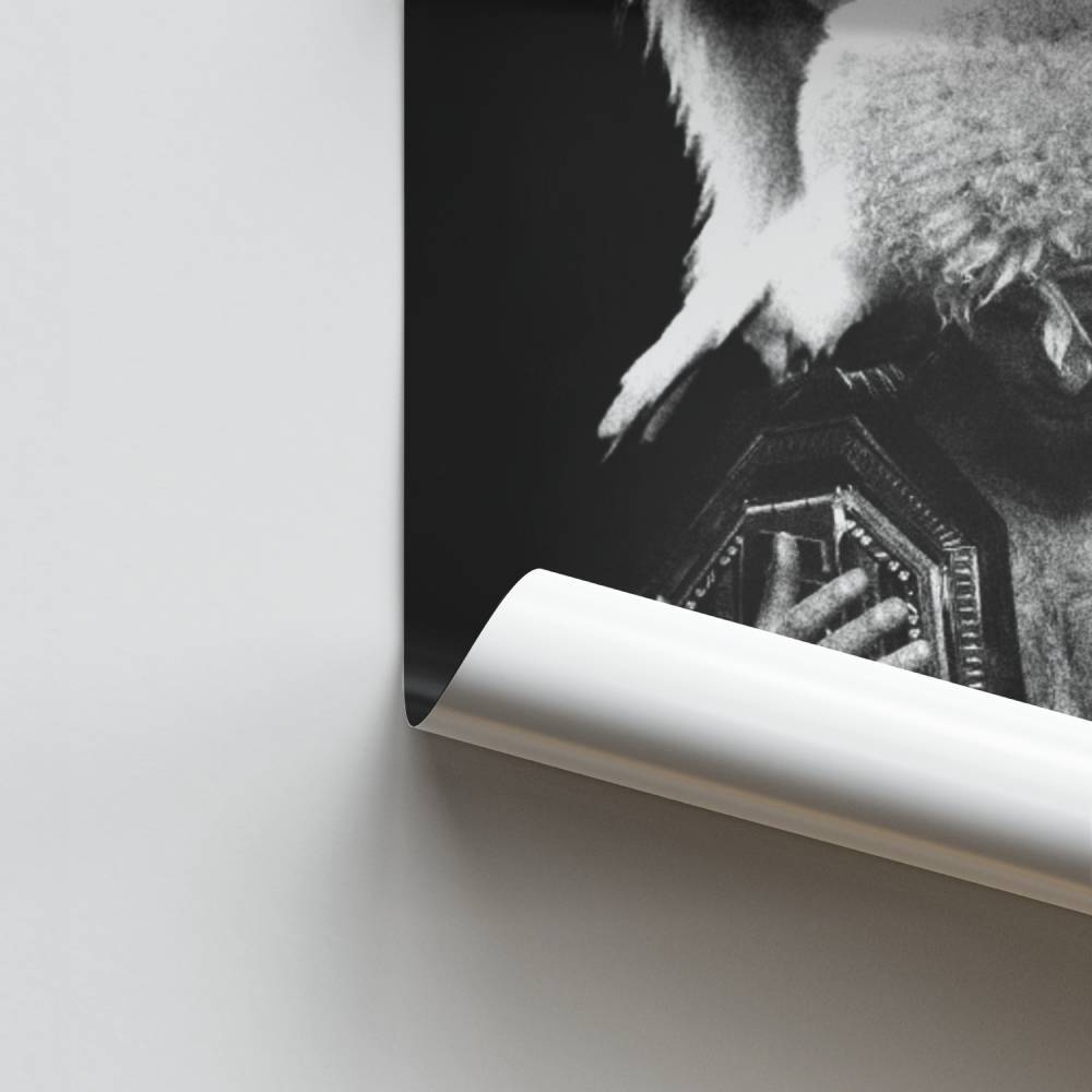 Poster Aigle du Combat