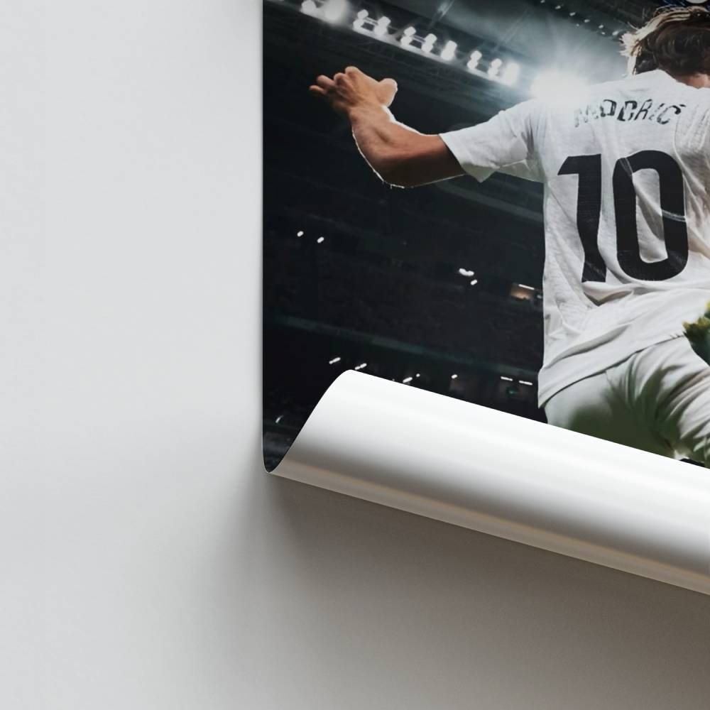 Affiche Meester van het Land