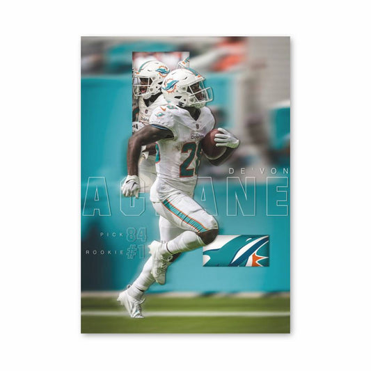 Poster Élan du Dauphin