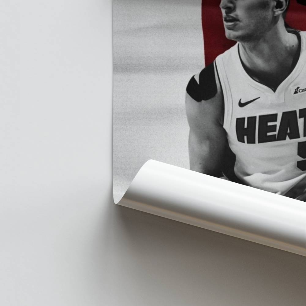 Miami hitte-poster