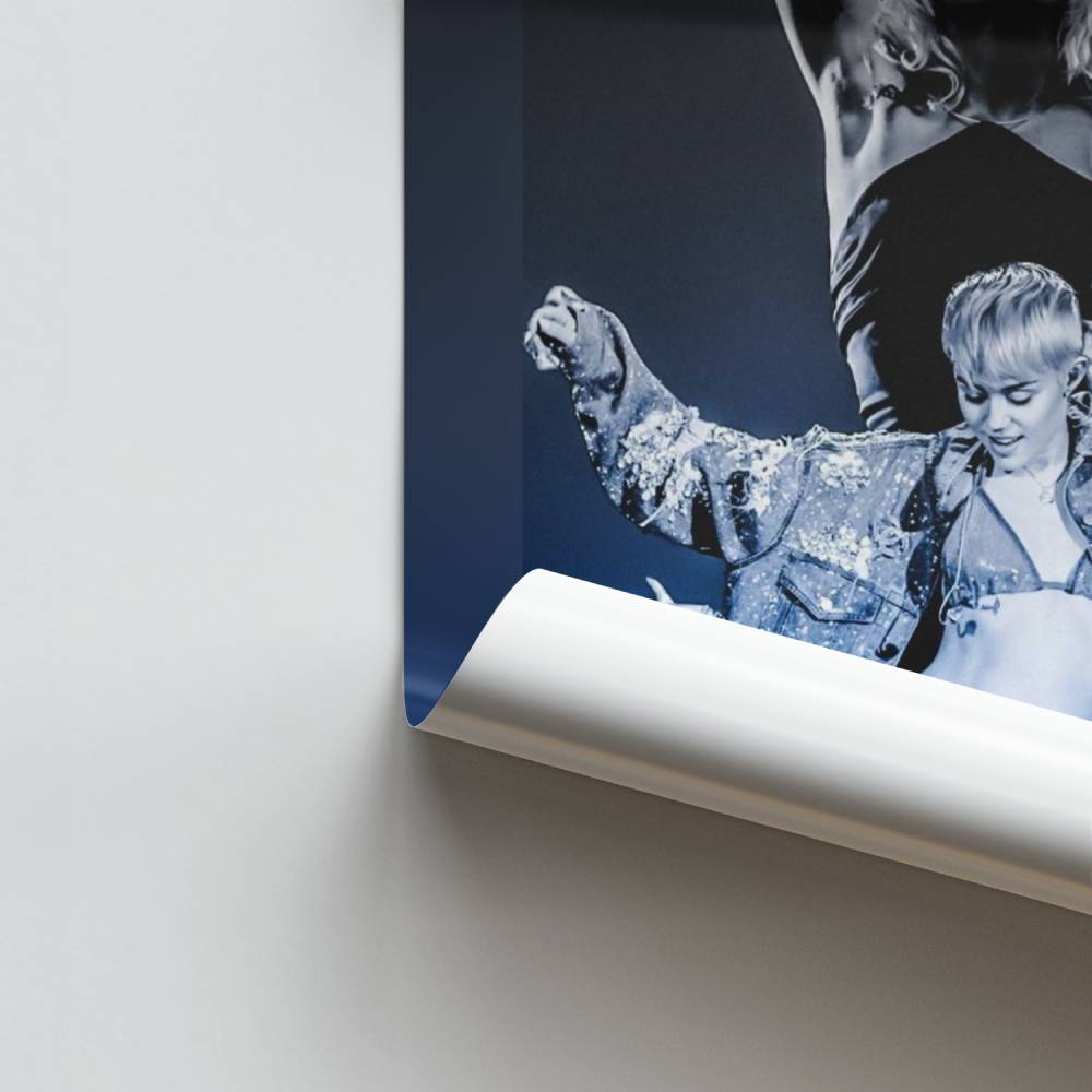 Poster iconische evolutie