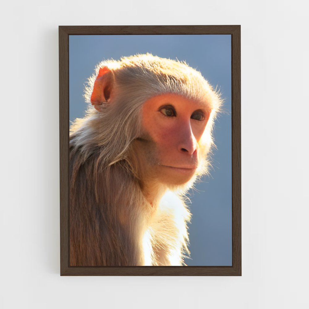 monkey-3 cadre Bois foncé