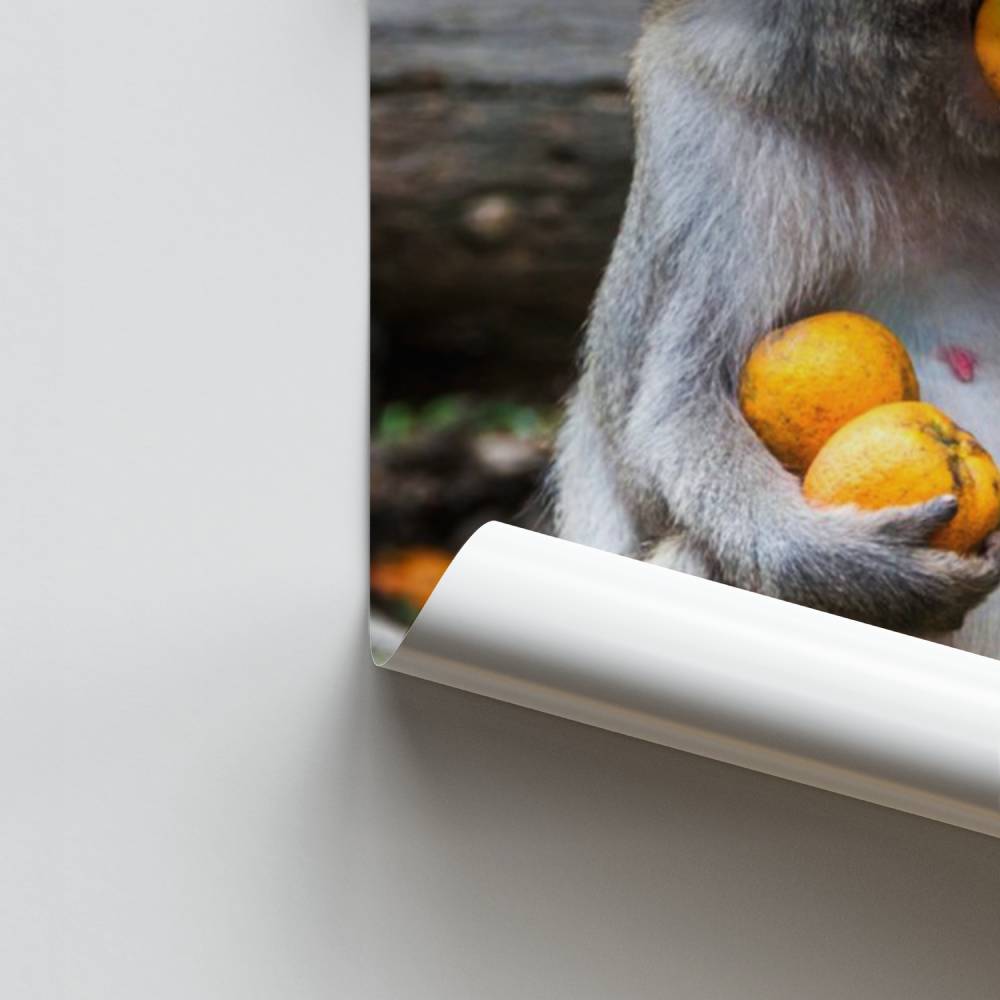 Affiche Aap Gulzigheid