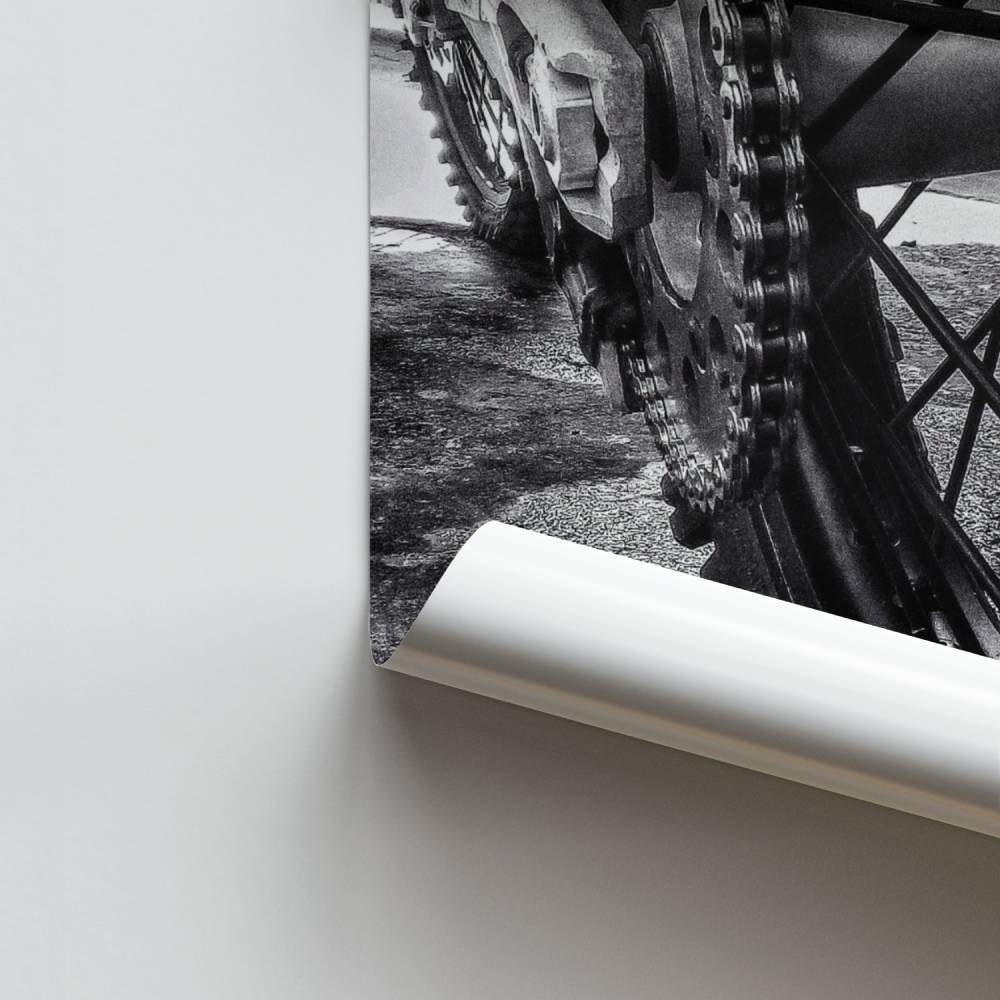 Brullende elandenposter