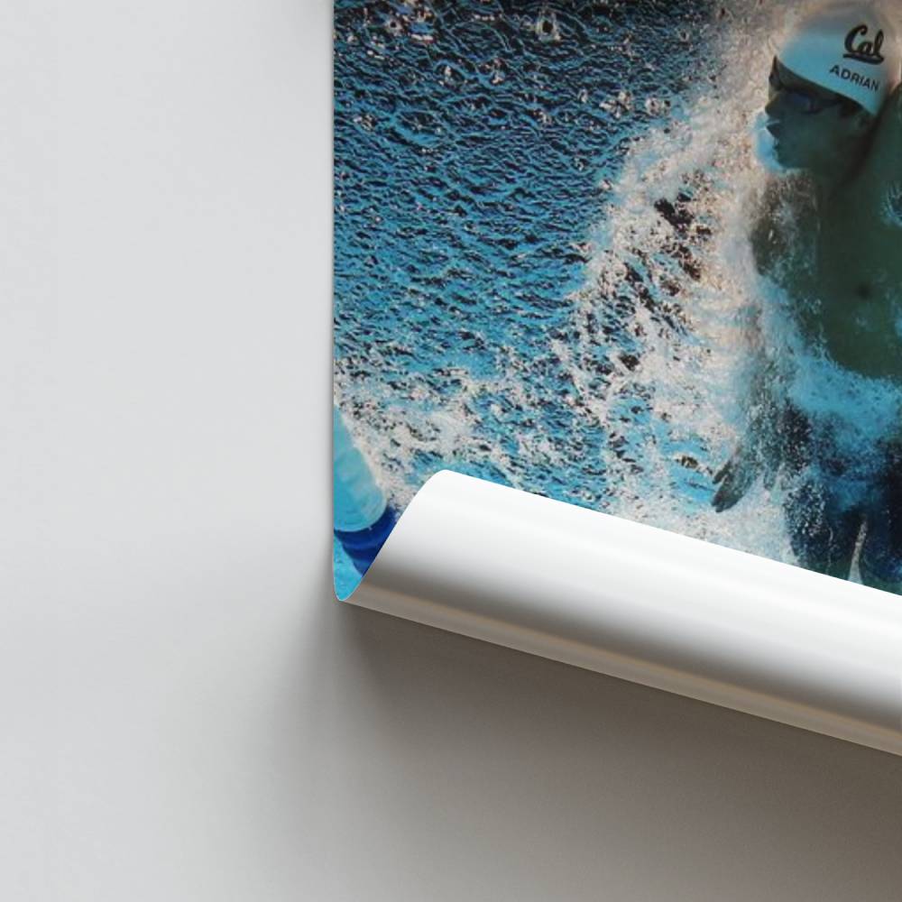 Aquatische staking poster