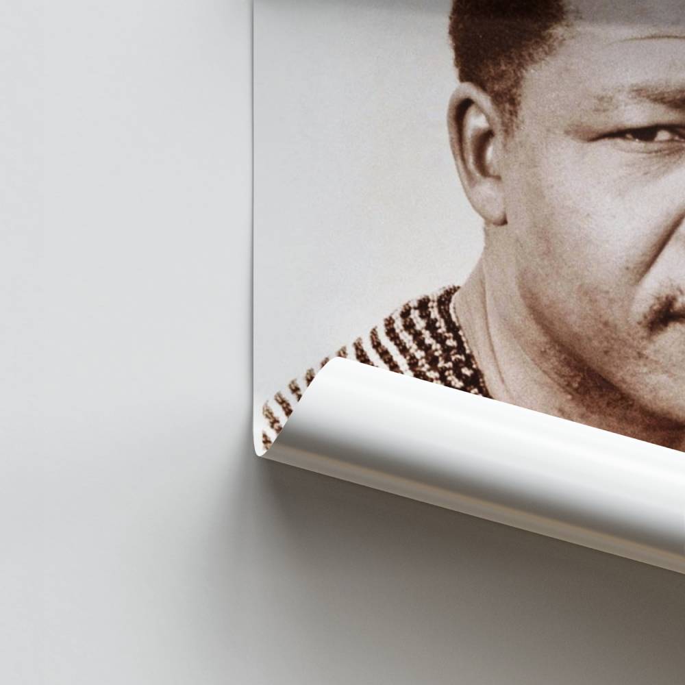 Poster Mandela-erfenis