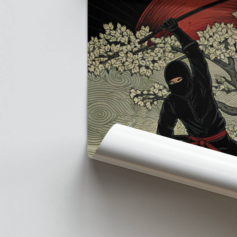 Poster Ninja Arashi