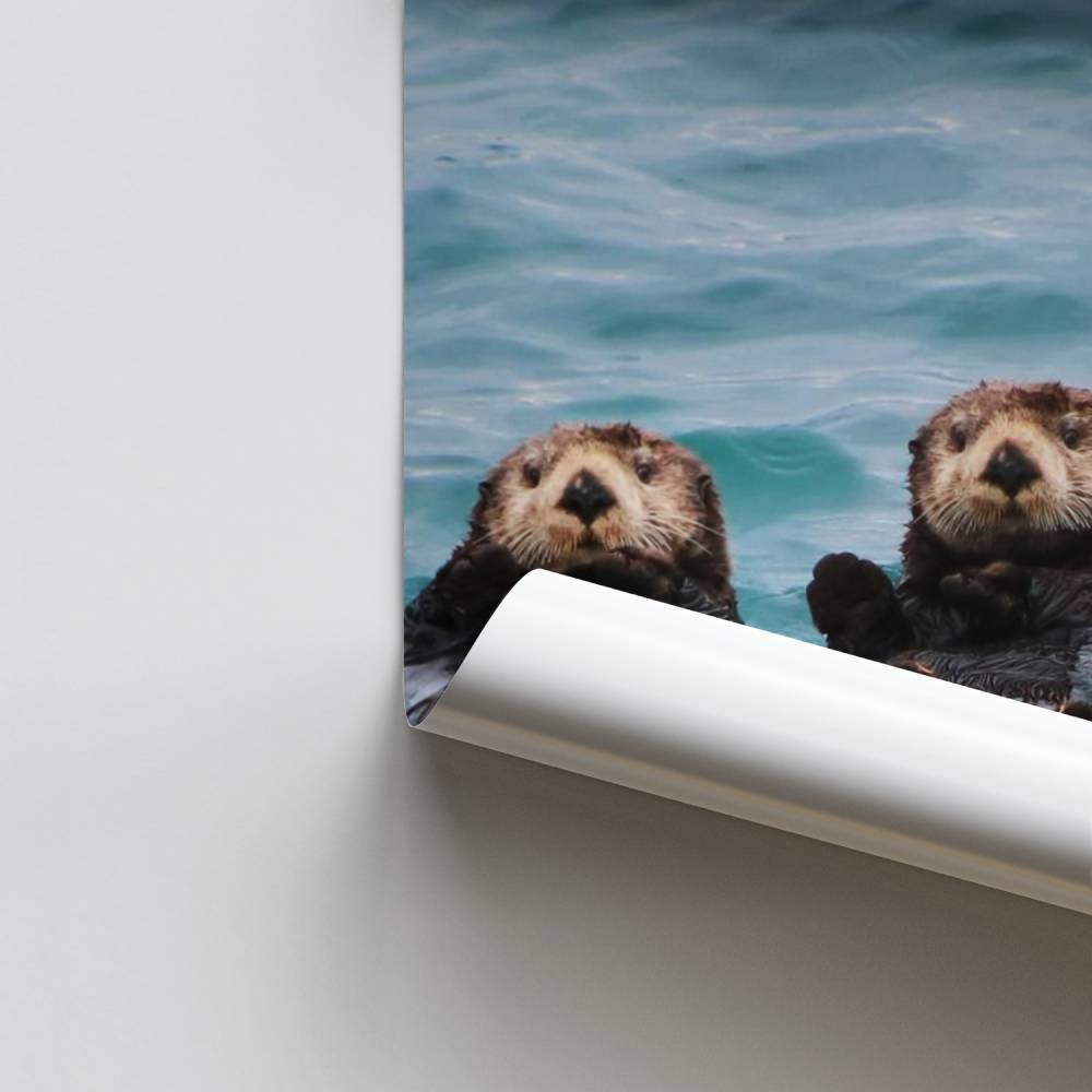 Ontspannende Otters-poster