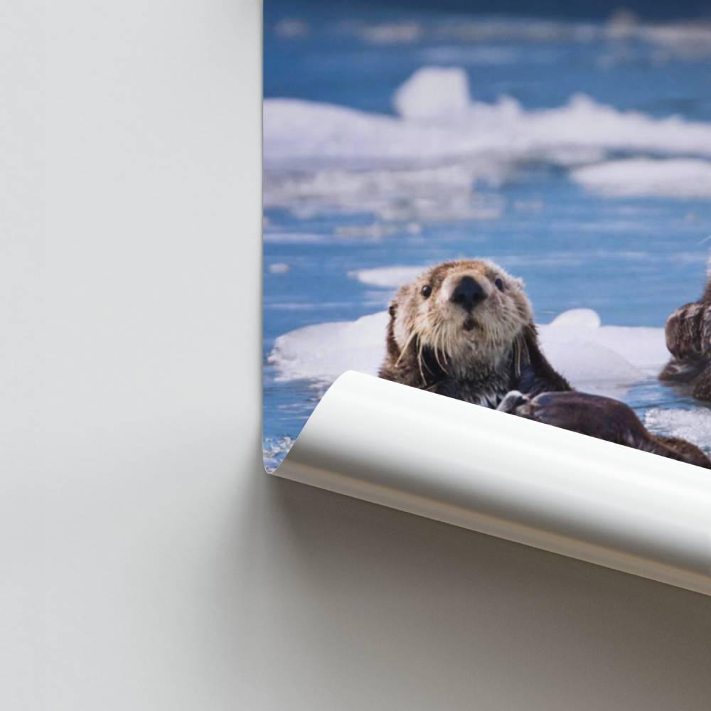 Ontspannende Otters-poster