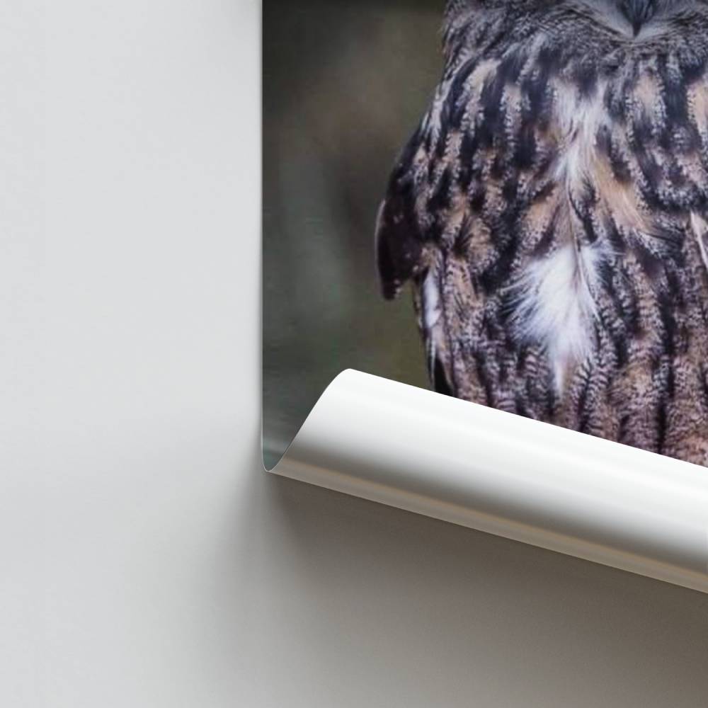 Poster Majestueuze groothertog