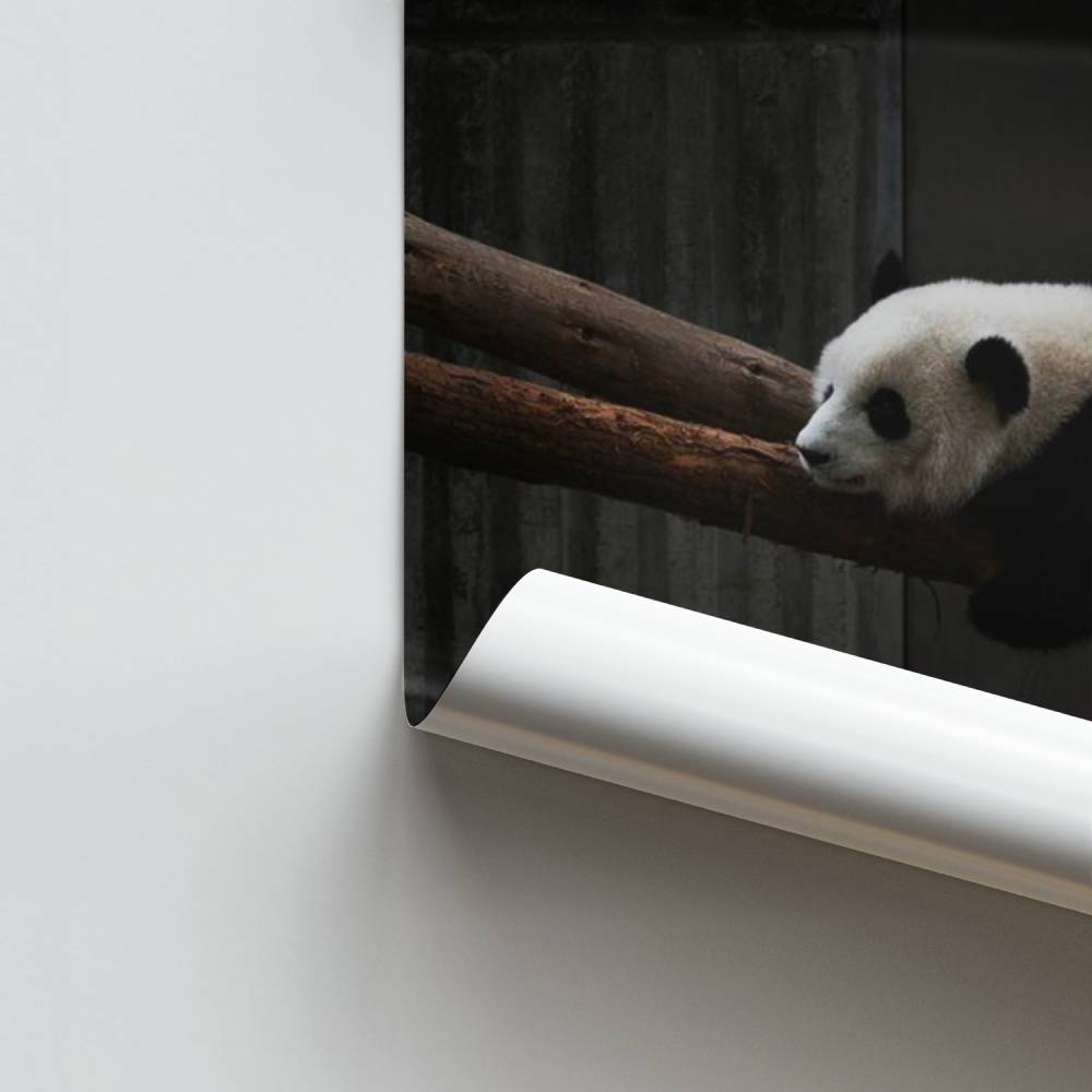 Dromende Panda-poster