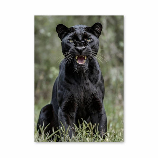 Poster Panthère Majestueuse