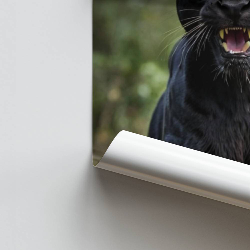 Poster Majestueuze Panter