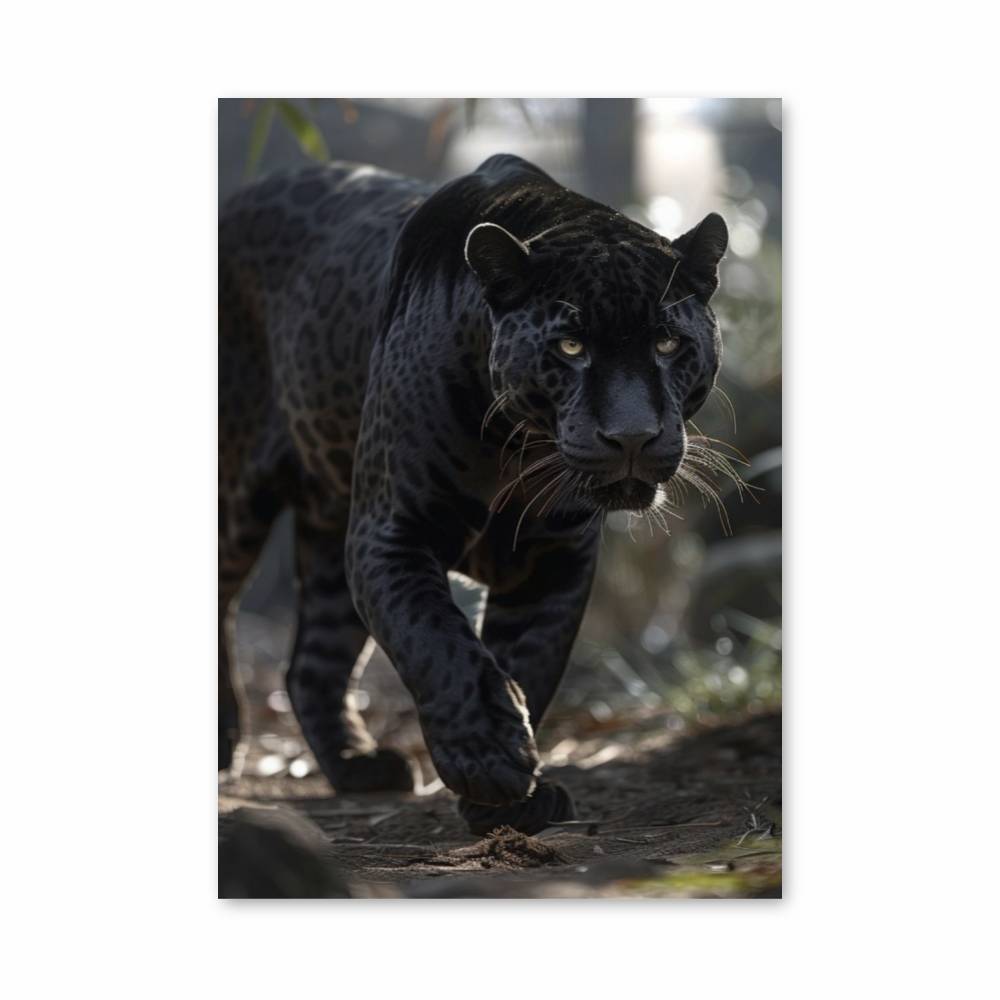 Poster Panthère Ébène