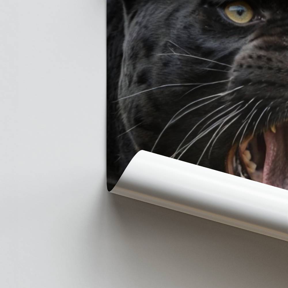 Panter gebrul poster