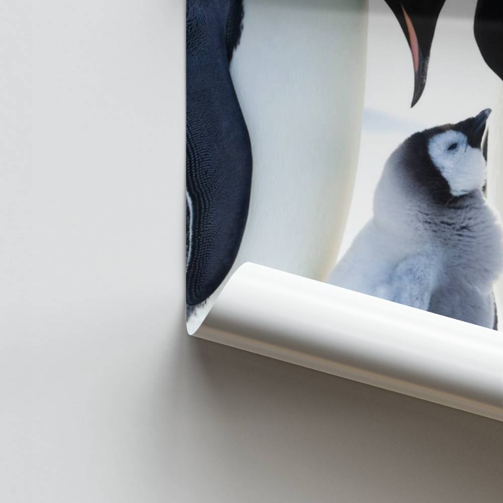 Poster van de keizerlijke familie