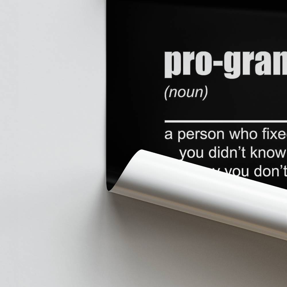 Poster Programmer Definition