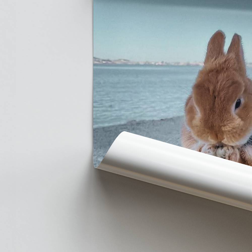 Knuffelige konijnposter