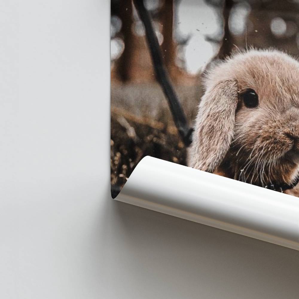 Poster Natuurlijke zoetheid