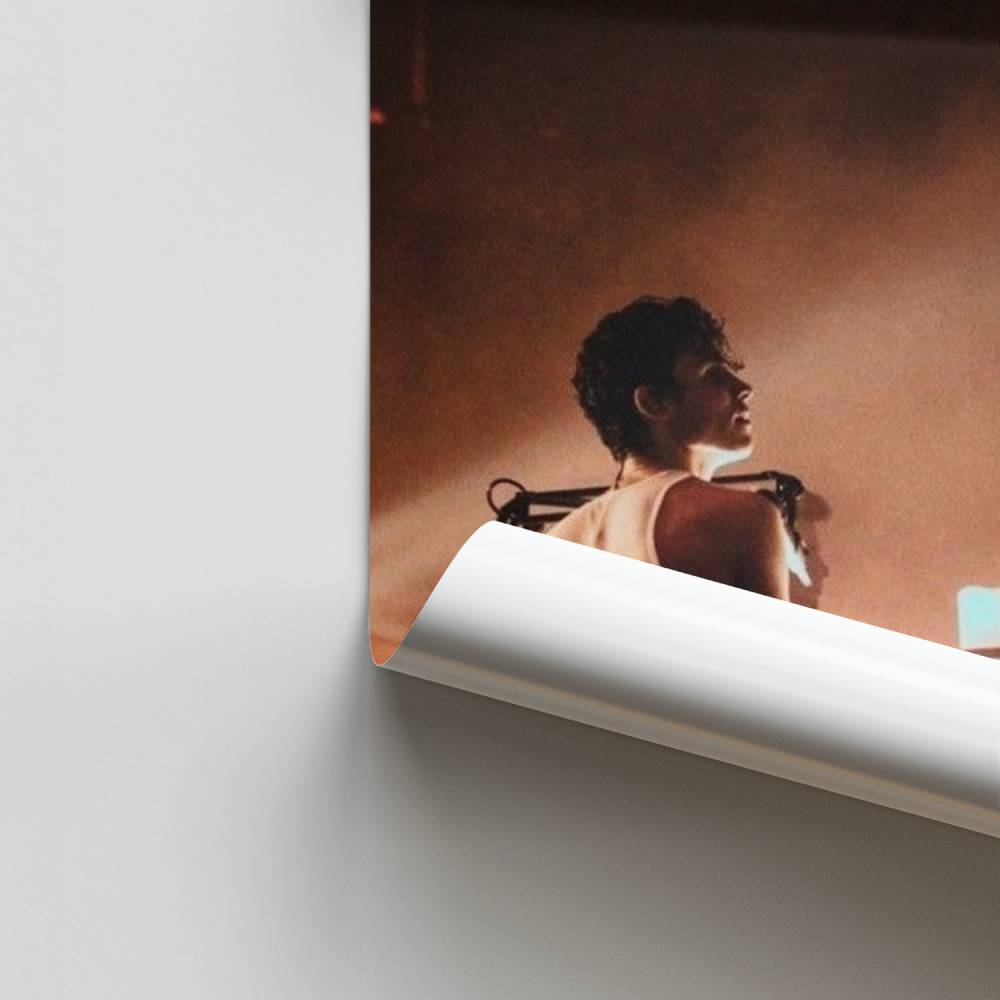 Poster Piano Schittering