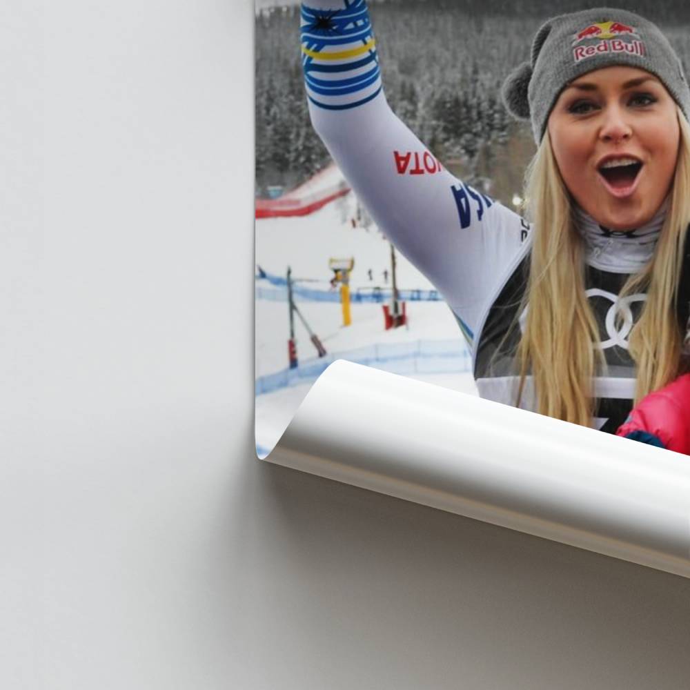 Skiër-poster