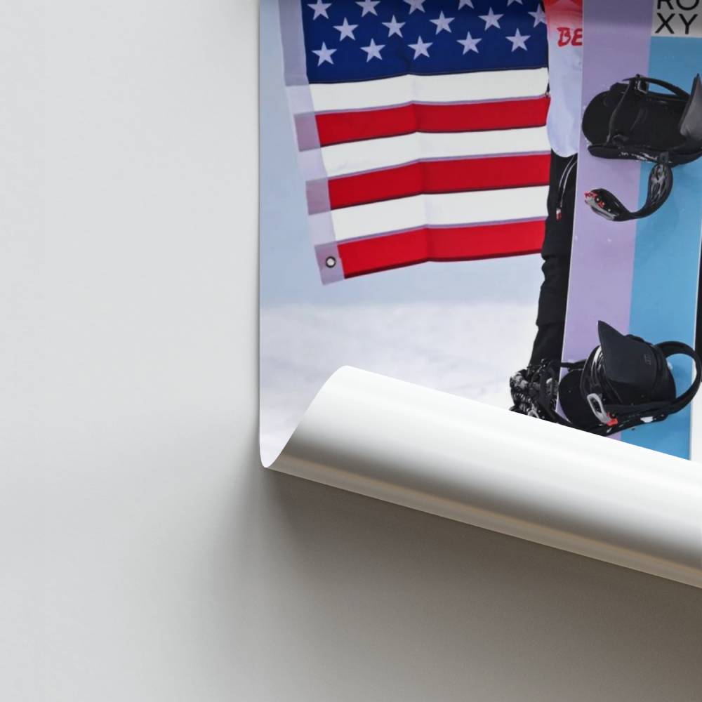 Snowboard kampioen poster