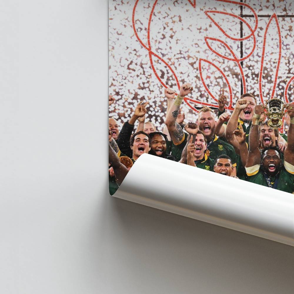 Poster Victoire des Springboks