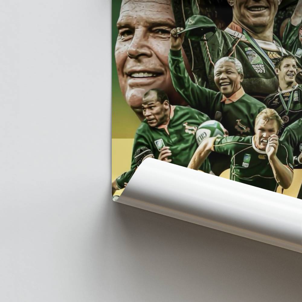 Springboks energieposter