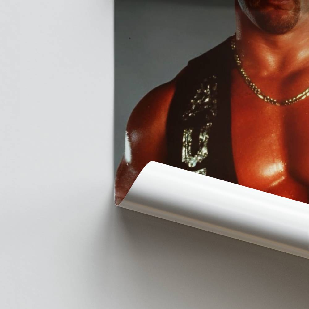 Poster Force Robuste