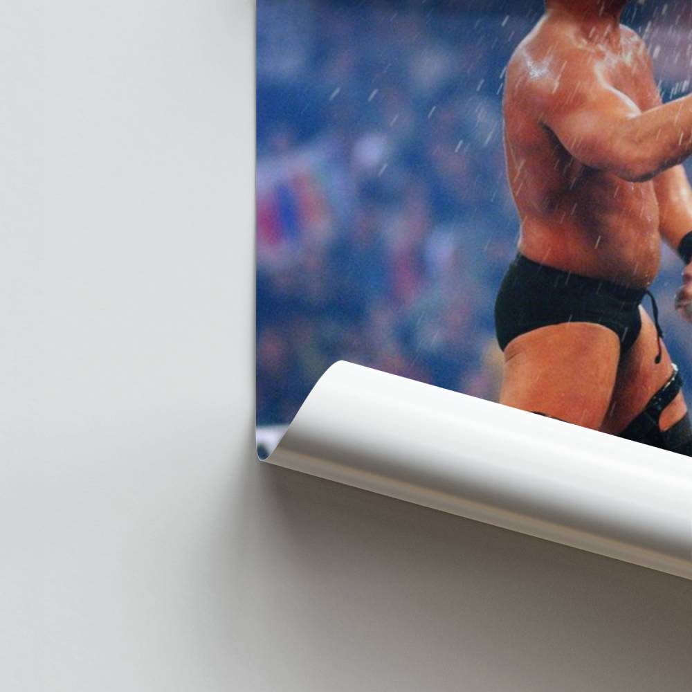 Poster Puissance Glaciale