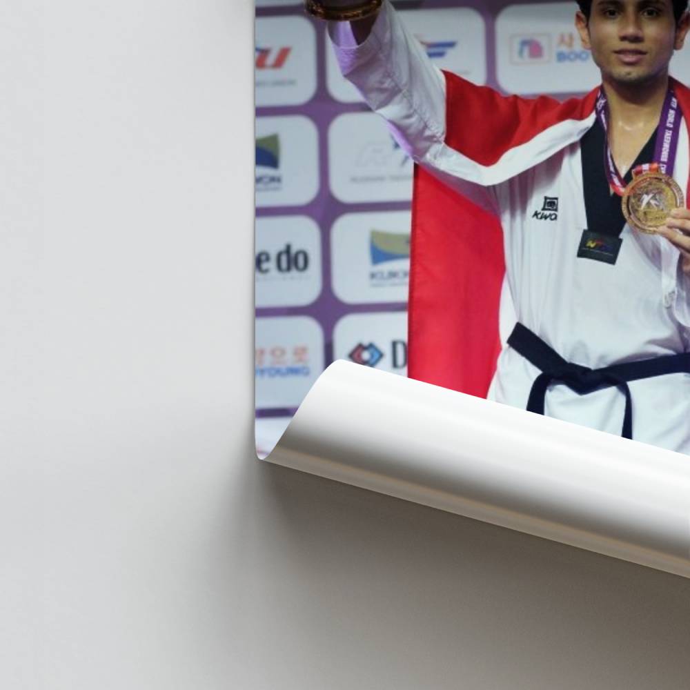 Taekwondo kampioen poster