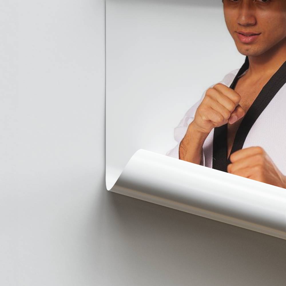 Taekwondo geest-poster