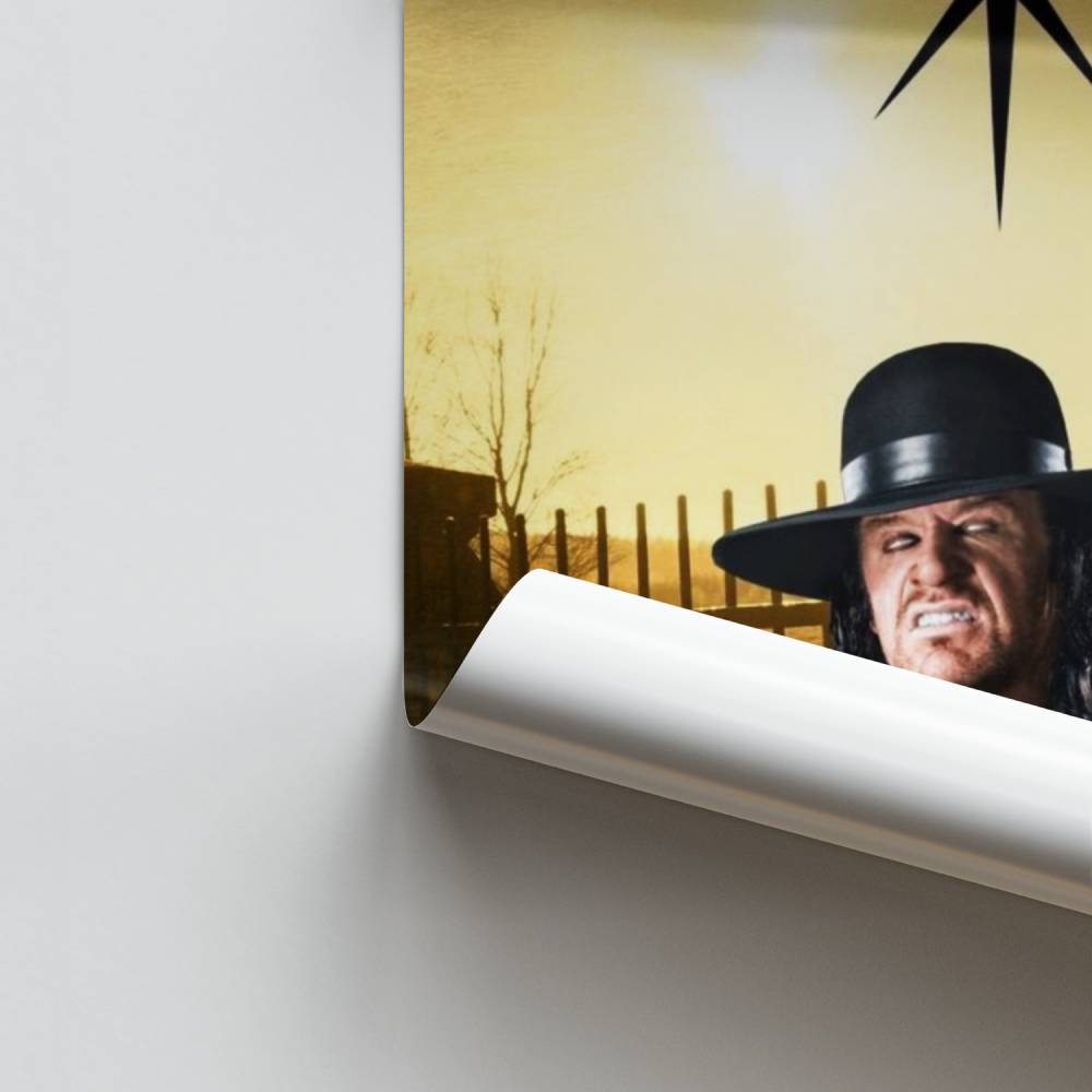 Poster Het fenomeen