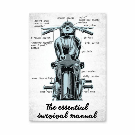 Poster Triumph Survival Guide