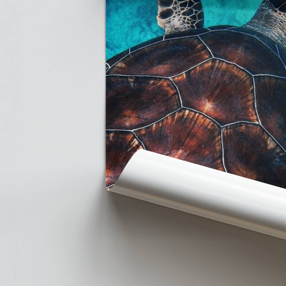 Poster Oceaan Sereniteit