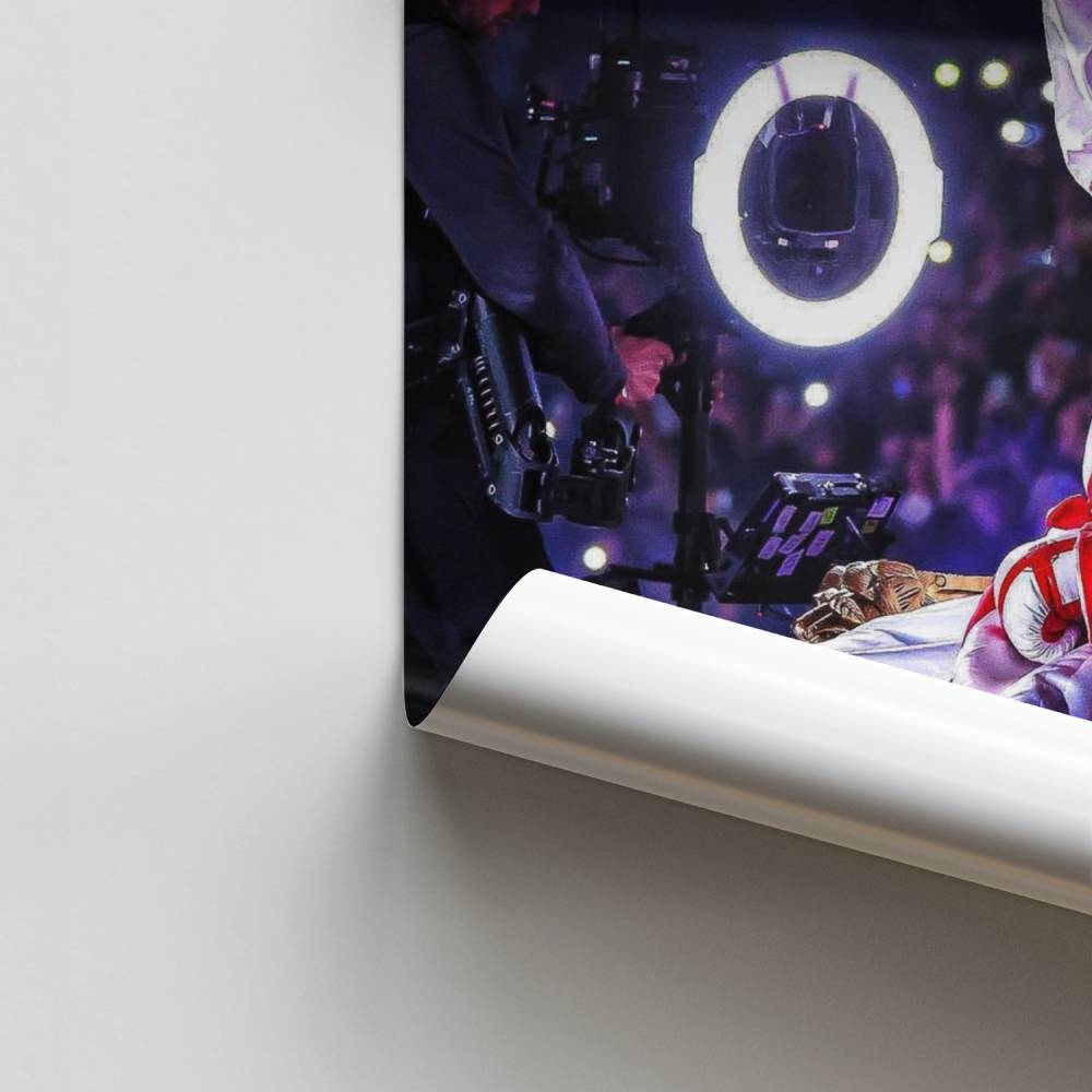 Affiche De koning van de ring