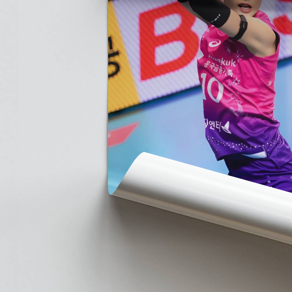 Energiesprongposter