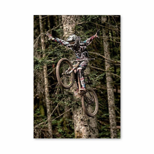 Poster VTT Aventure Aérienne