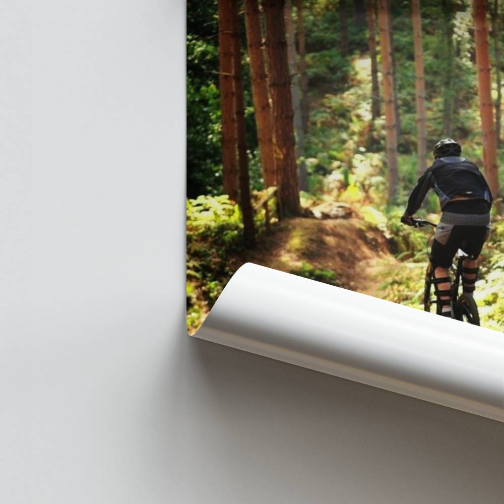 Poster Évasion de la Forêt